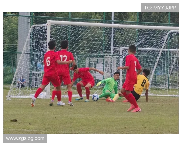 成都足球队的崛起之路：一段激情与奋斗交织的纪实故事